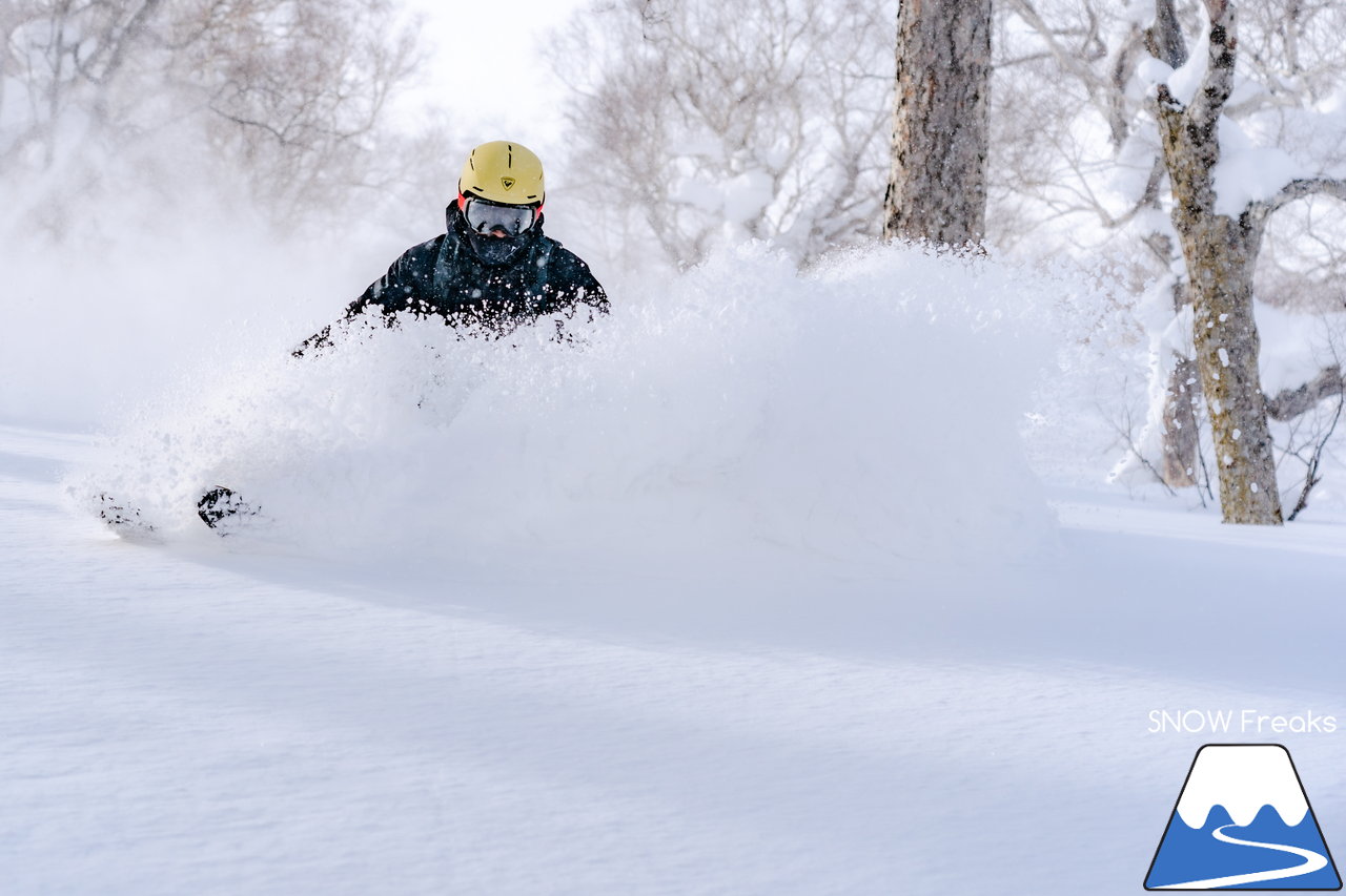 ニセコ東急グラン・ヒラフ｜積雪400cm！ニセコの『PowderSnow』を味わい尽くす、贅沢な時間♪